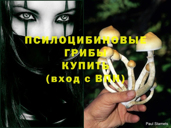 ПСИЛОЦИБИНОВЫЕ ГРИБЫ Алексеевка