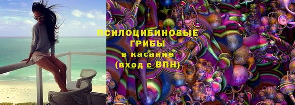 спиды Алексин