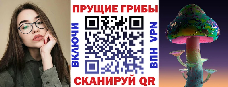 Псилоцибиновые грибы Cubensis  мега рабочий сайт  Кириши 